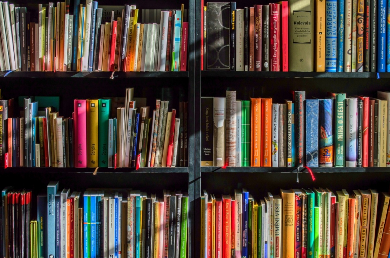 vitrine--min_books_bookstore_book_reading_shop_writer_sale_books_read-822866